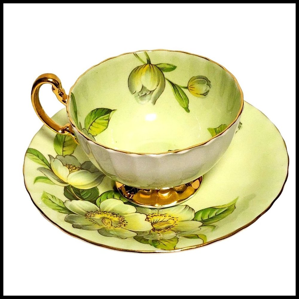 AYNSLEY England DOGWOOD Pattern Light Green Cup & Saucer Magnolia‎ Flowers